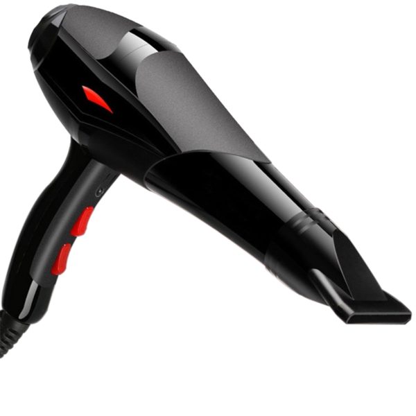 electric hair dryer
